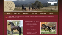www.friesianfocus.com